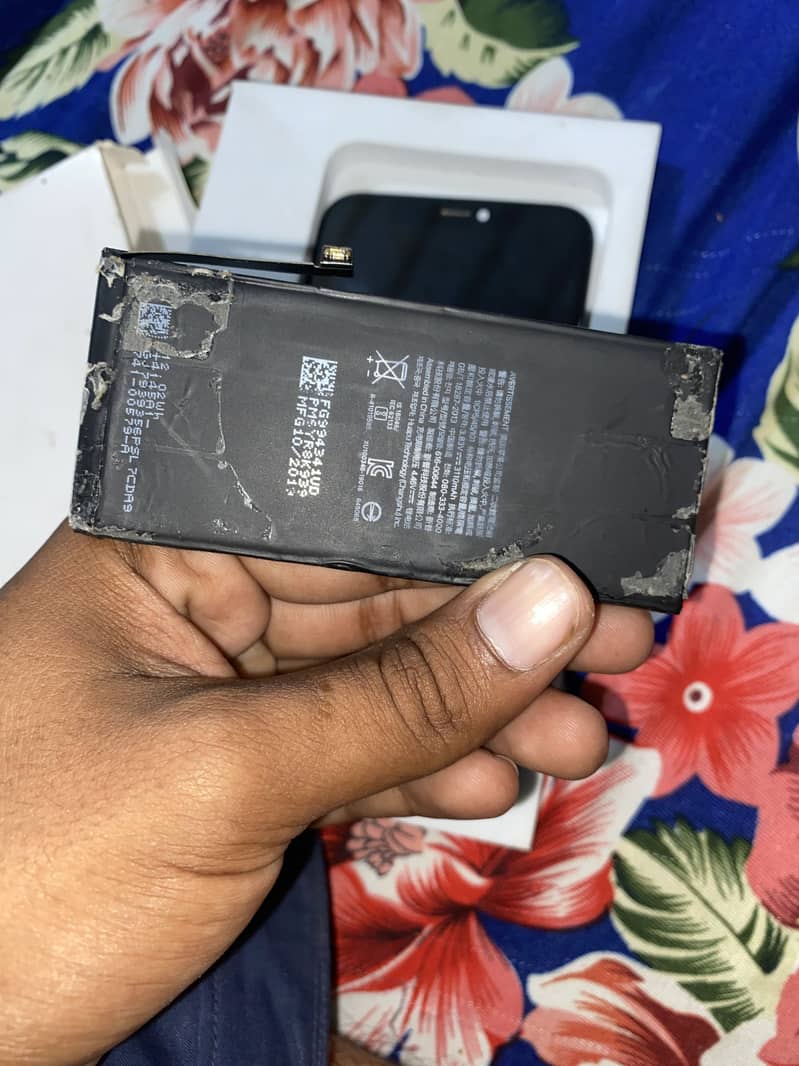 Apple iPhone 11 3