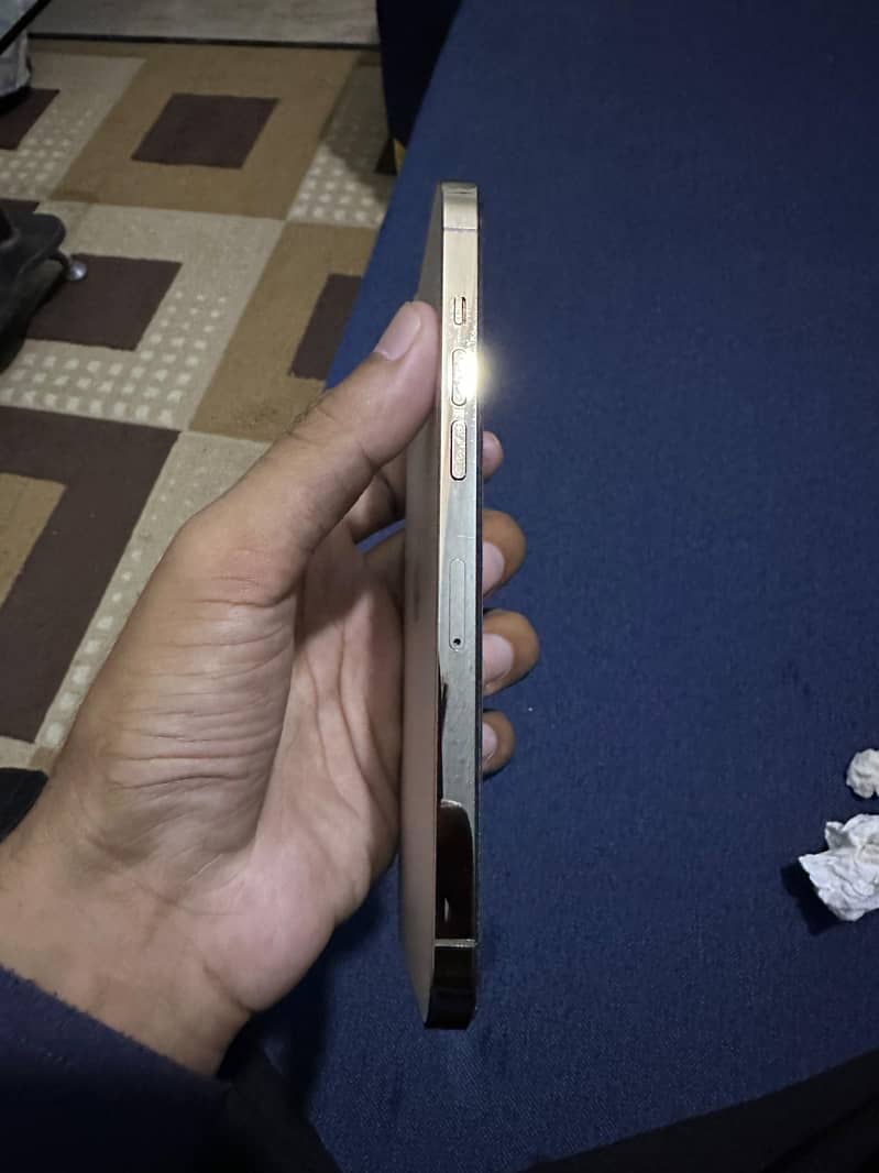 IPhone 12 pro max 2