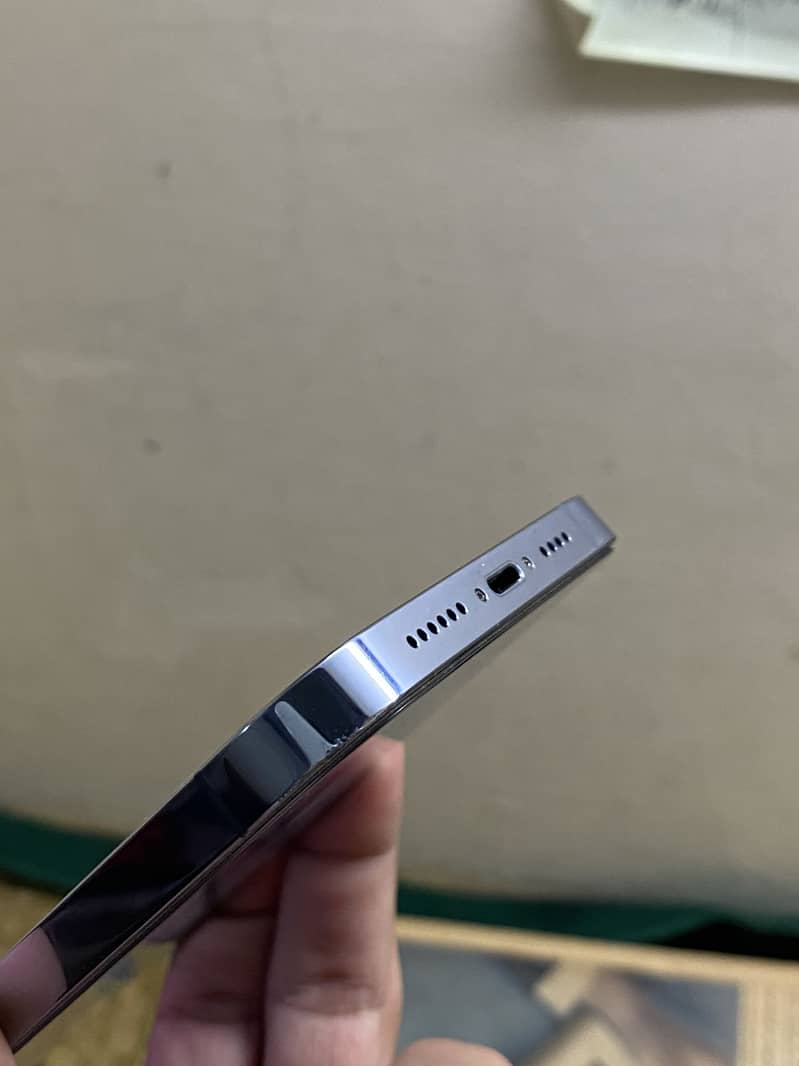 Apple iPhone 13 Pro Max 1