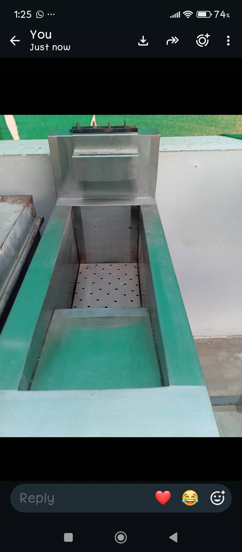Fryer 2