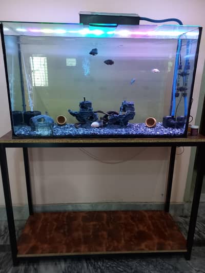 3.5ft aquarium with stand and fishes