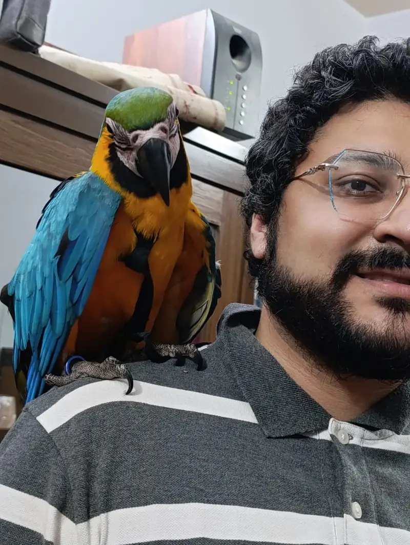 Blue Gold Macaw — photo 11