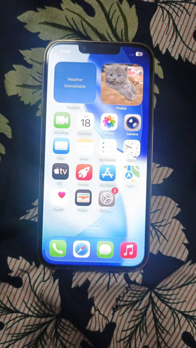 Apple iPhone 13 Pro 1