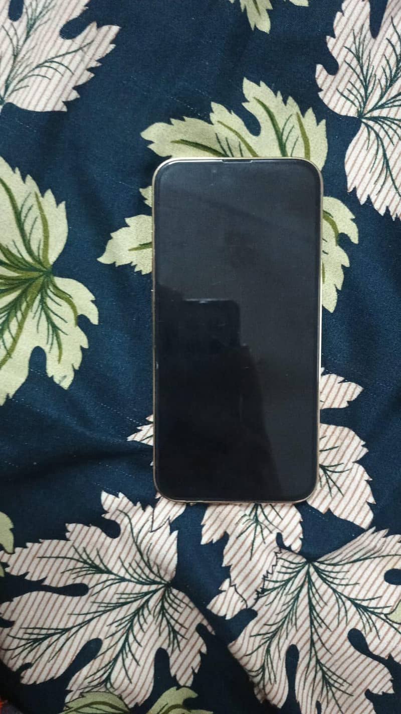 Apple iPhone 13 Pro 3