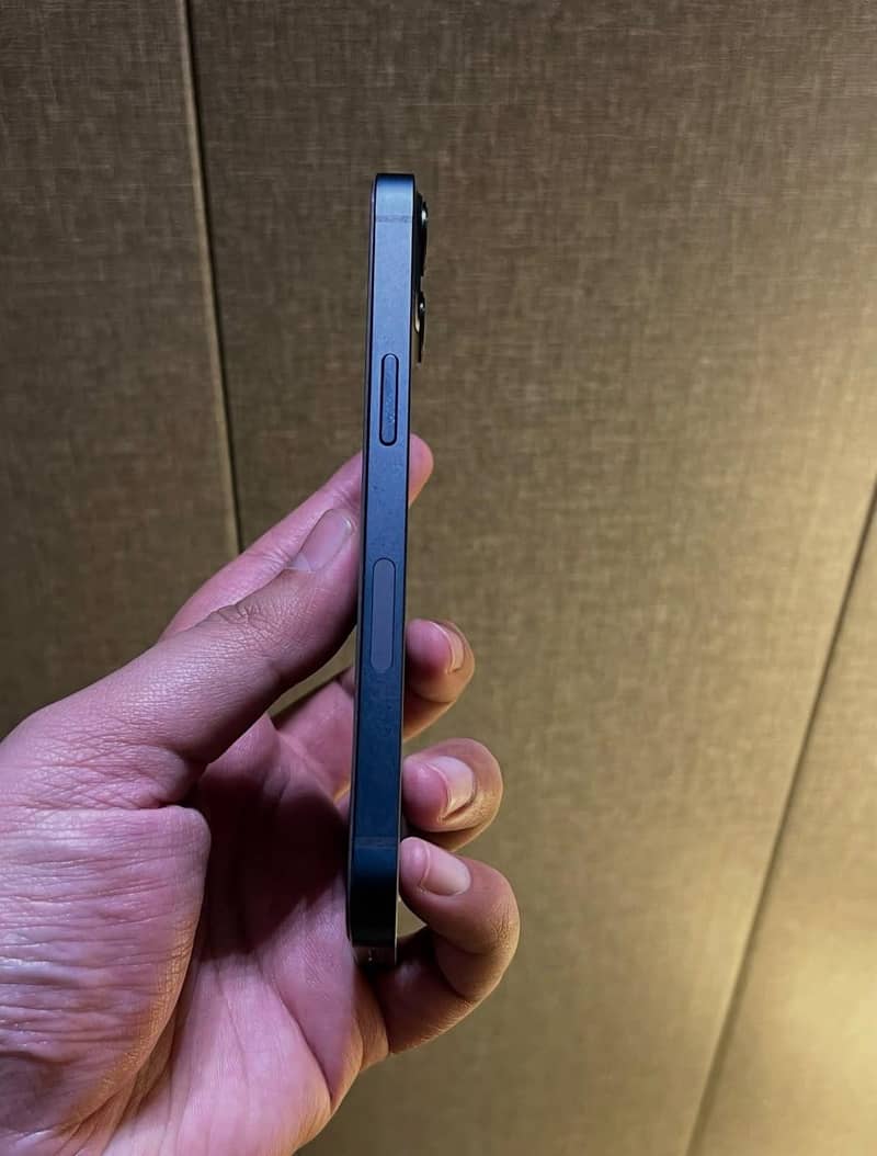 Apple iPhone 13 0