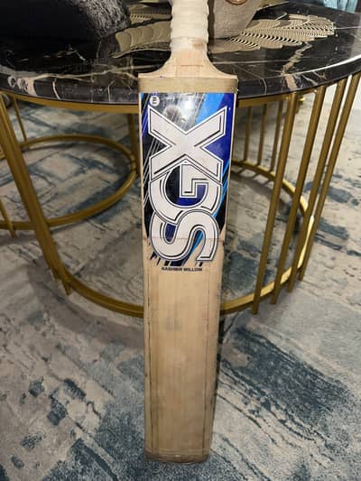 Hard ball bat kashmir willow