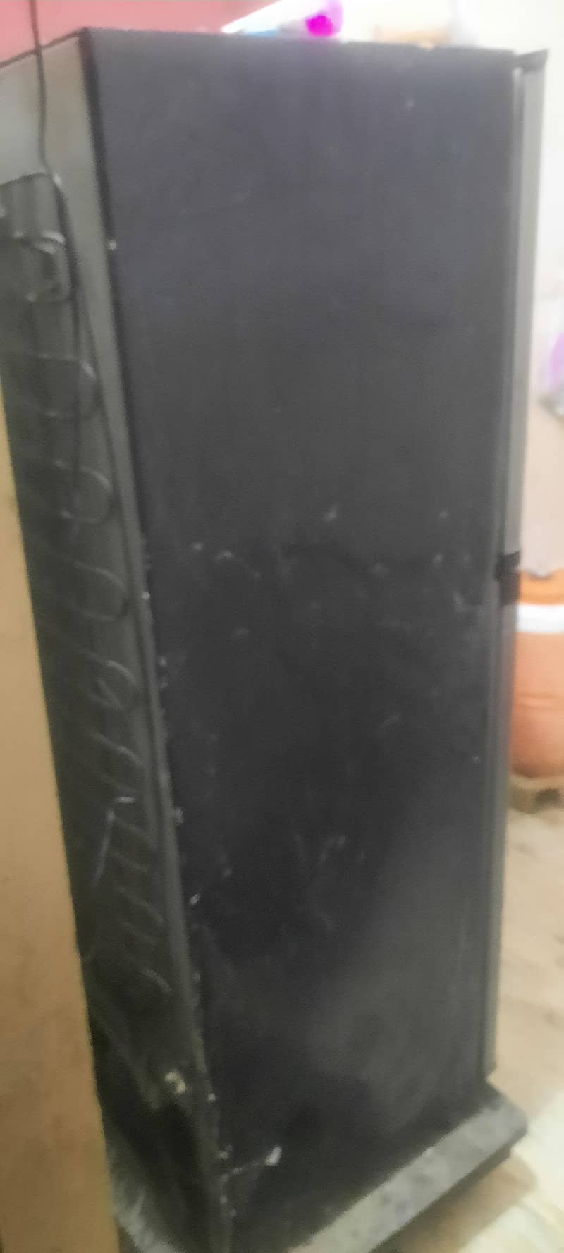 orient fregh 1