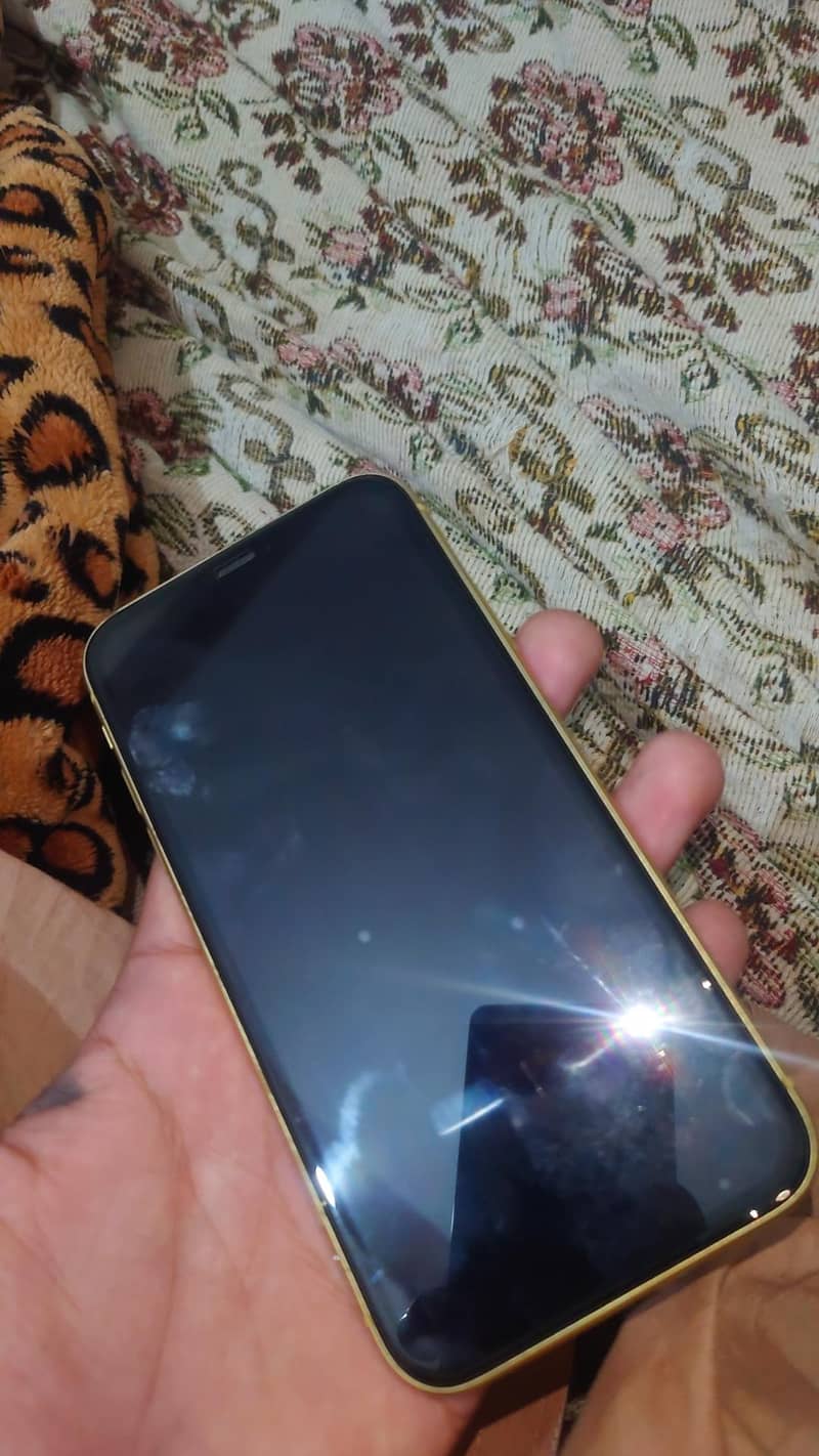 Apple iPhone 11 1