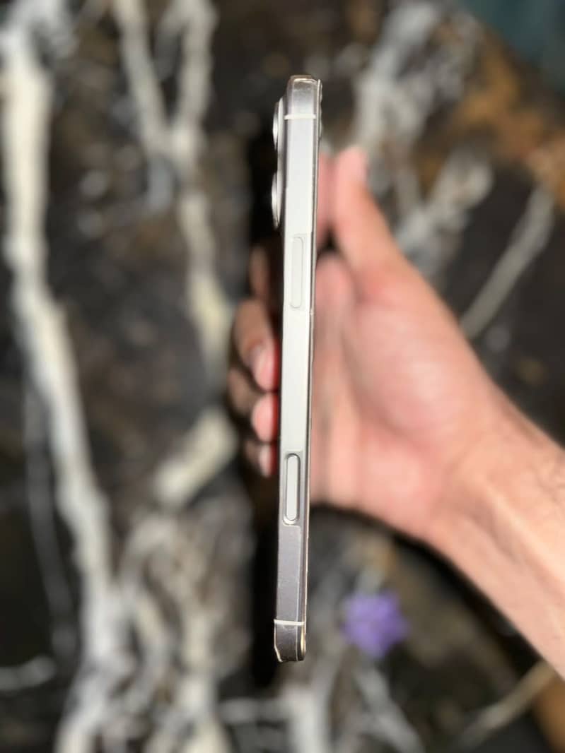 Apple iPhone 16 Pro Max 2