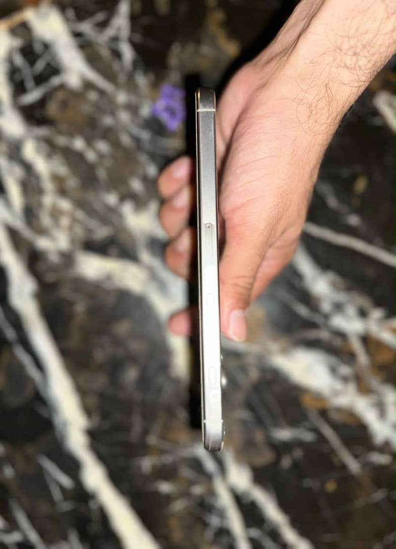 Apple iPhone 16 Pro Max 3