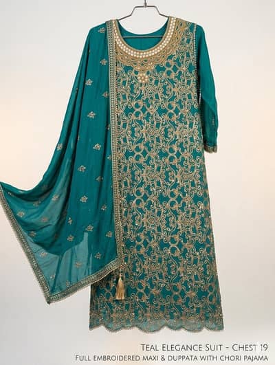 Fancy / Party wear Dress