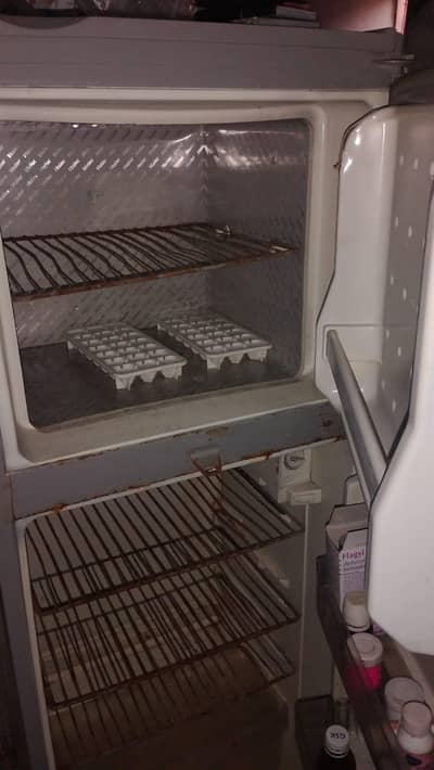 haier refrigerator