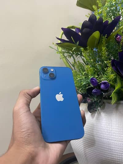 Apple iPhone 13