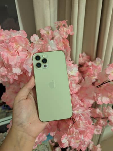 Apple iPhone 12 Pro