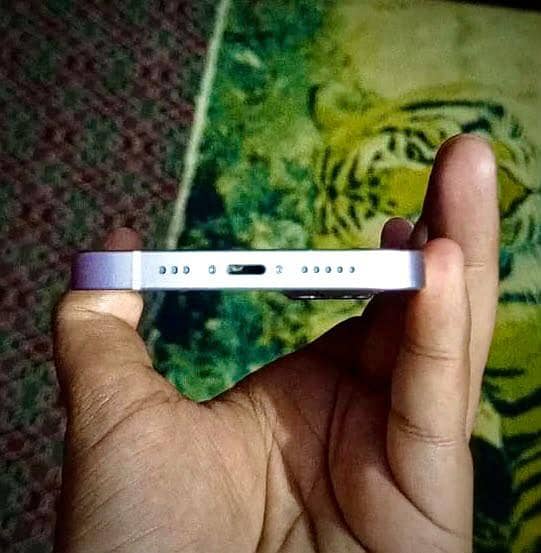 Apple iPhone 13 2