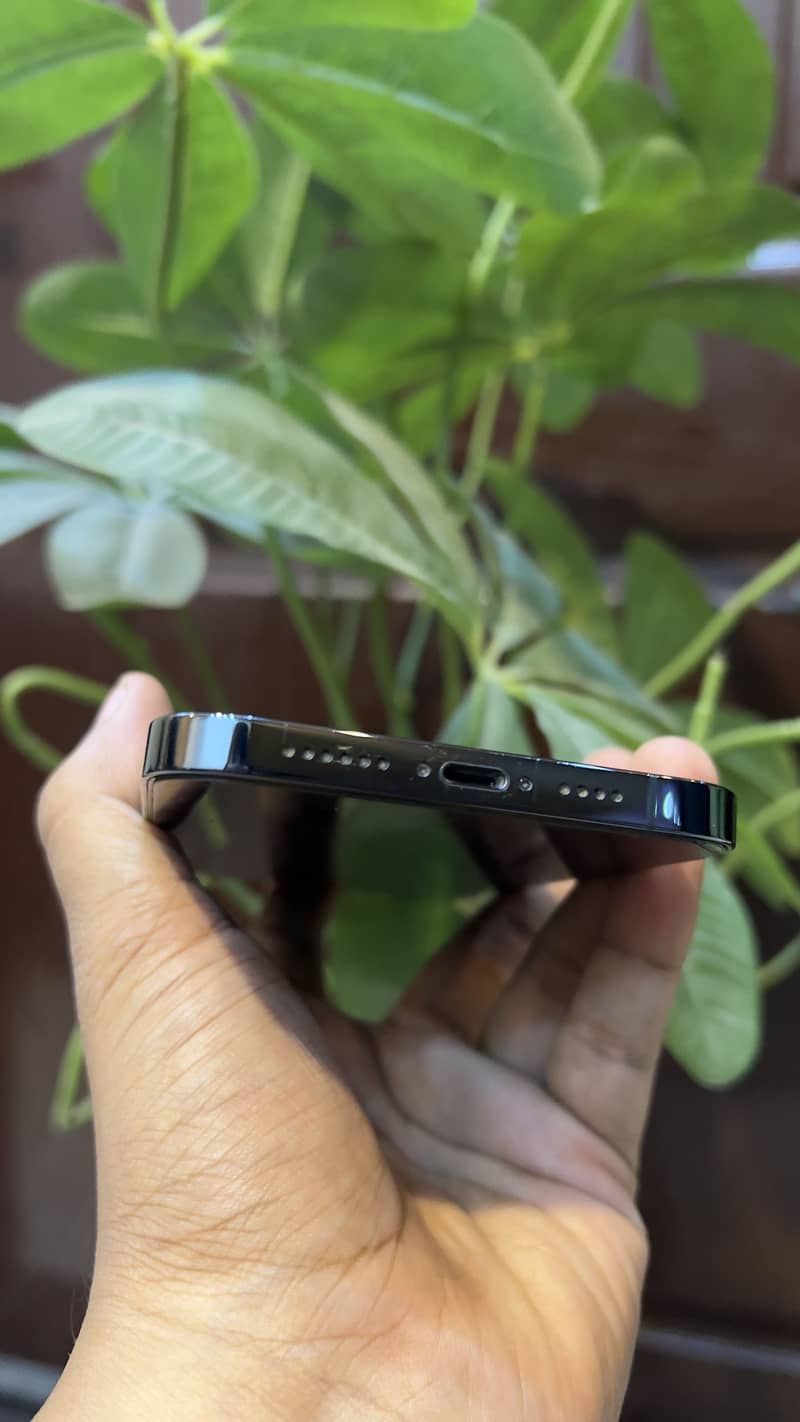 Apple iPhone 12 Pro Max 1