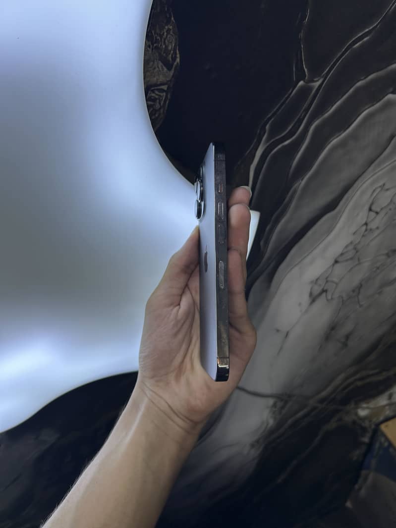 iPhone 13 Pro 1
