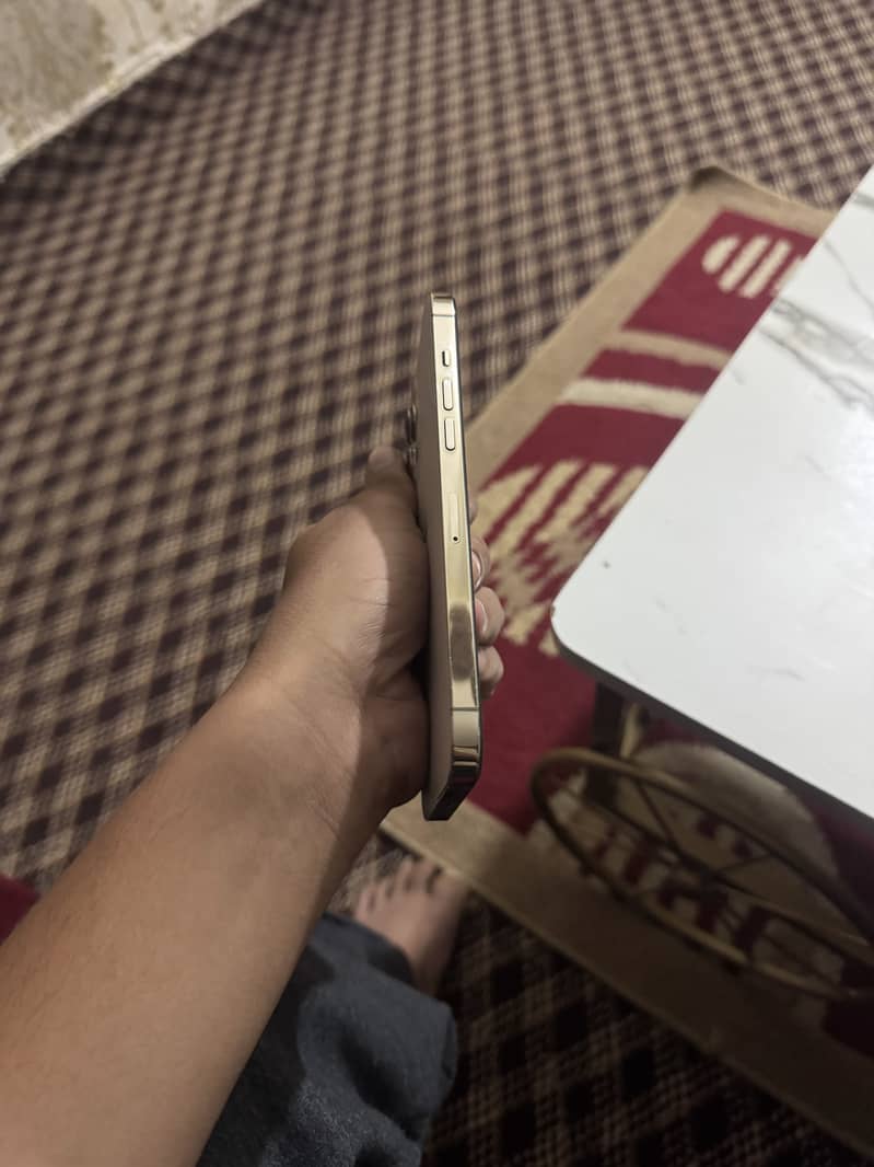 Iphone 12 pro max 3