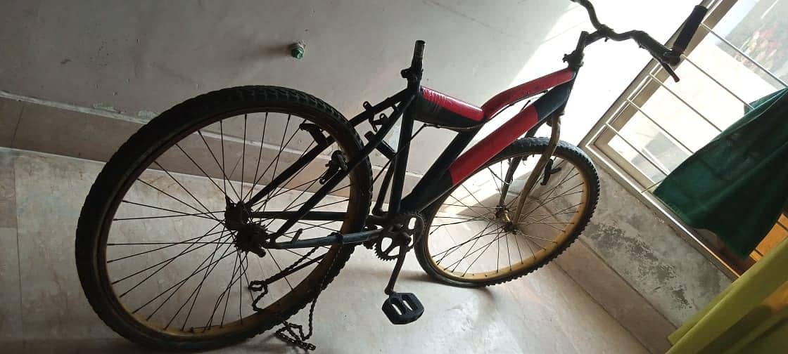 Bicycle 0