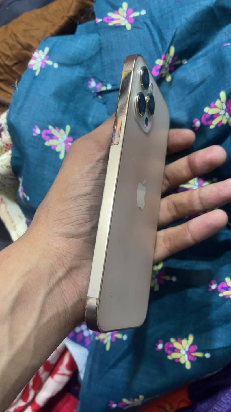 Apple iPhone 12 Pro Max 1