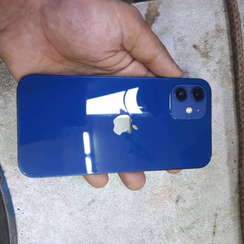 Apple iPhone 12 1
