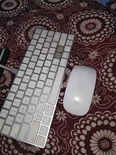 Apple ipaid and mouse
