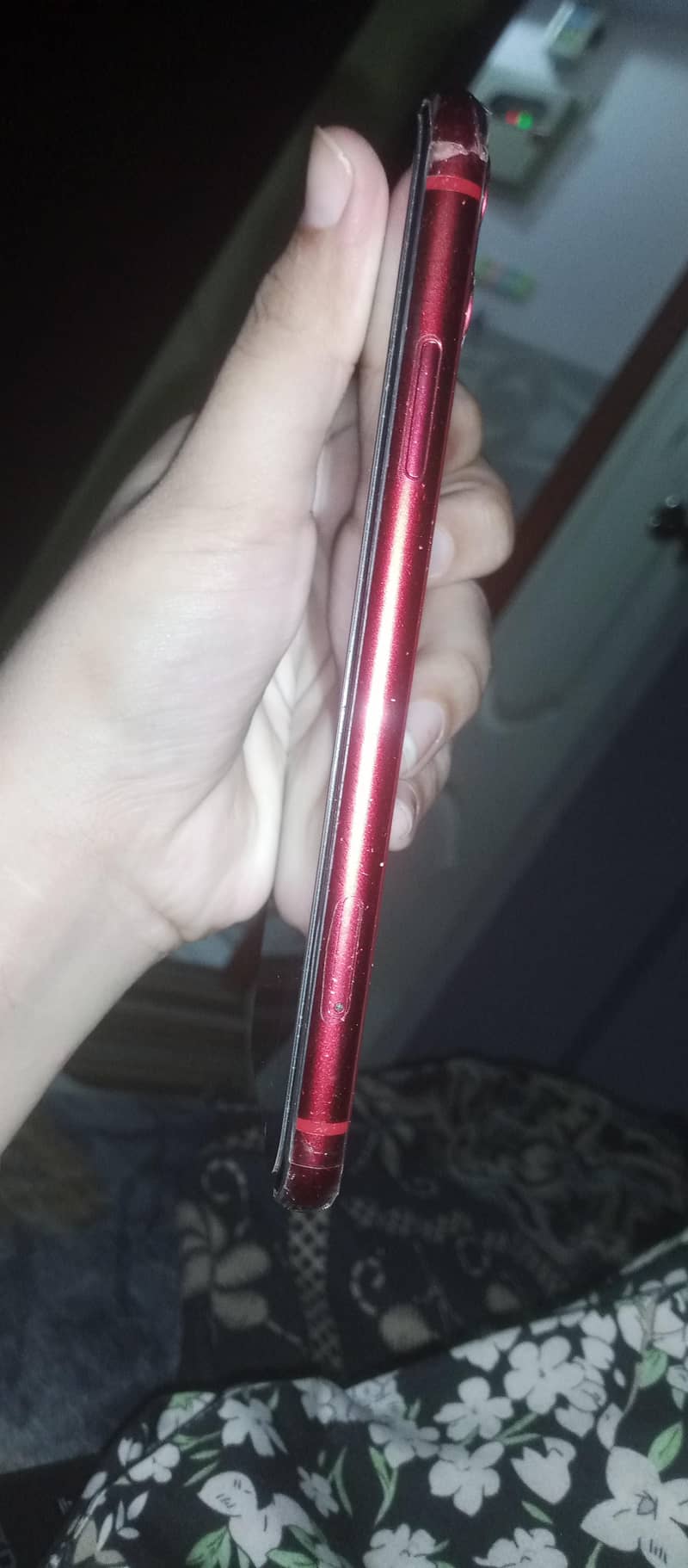 Apple iPhone 11 3