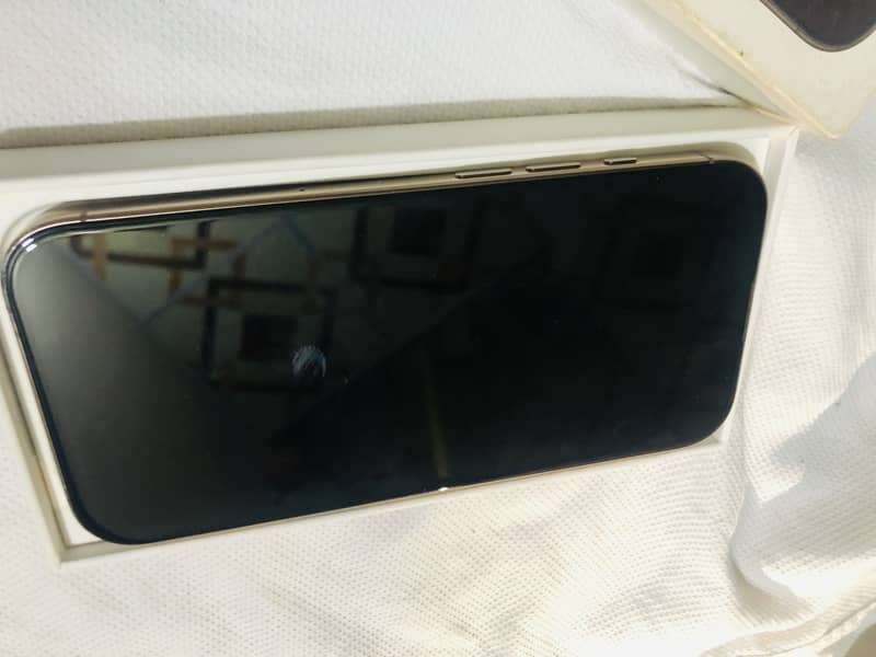 Apple iPhone 16 Pro 10