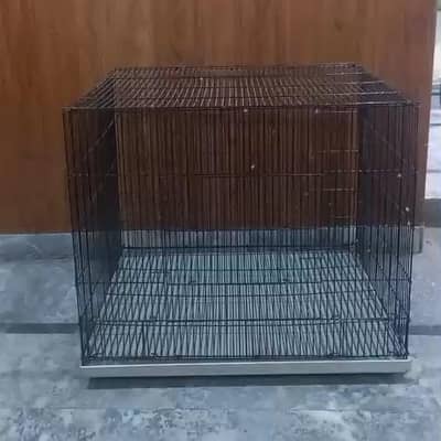 Cage Big birds
