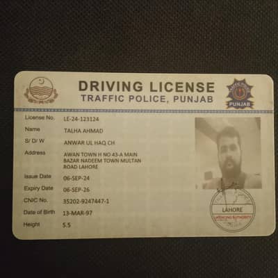 domestic job like House driver