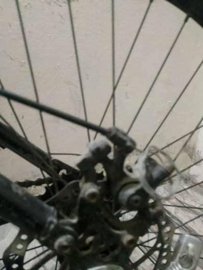 just like new sport's cycle