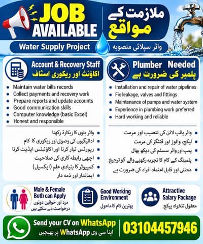 Accounting and Billes recovery