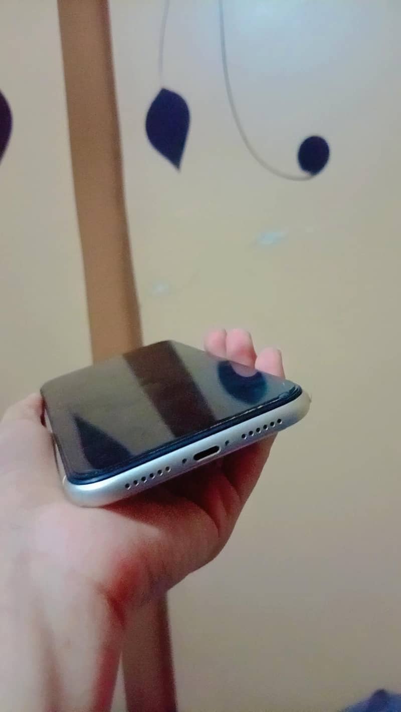 Apple iPhone 11 3