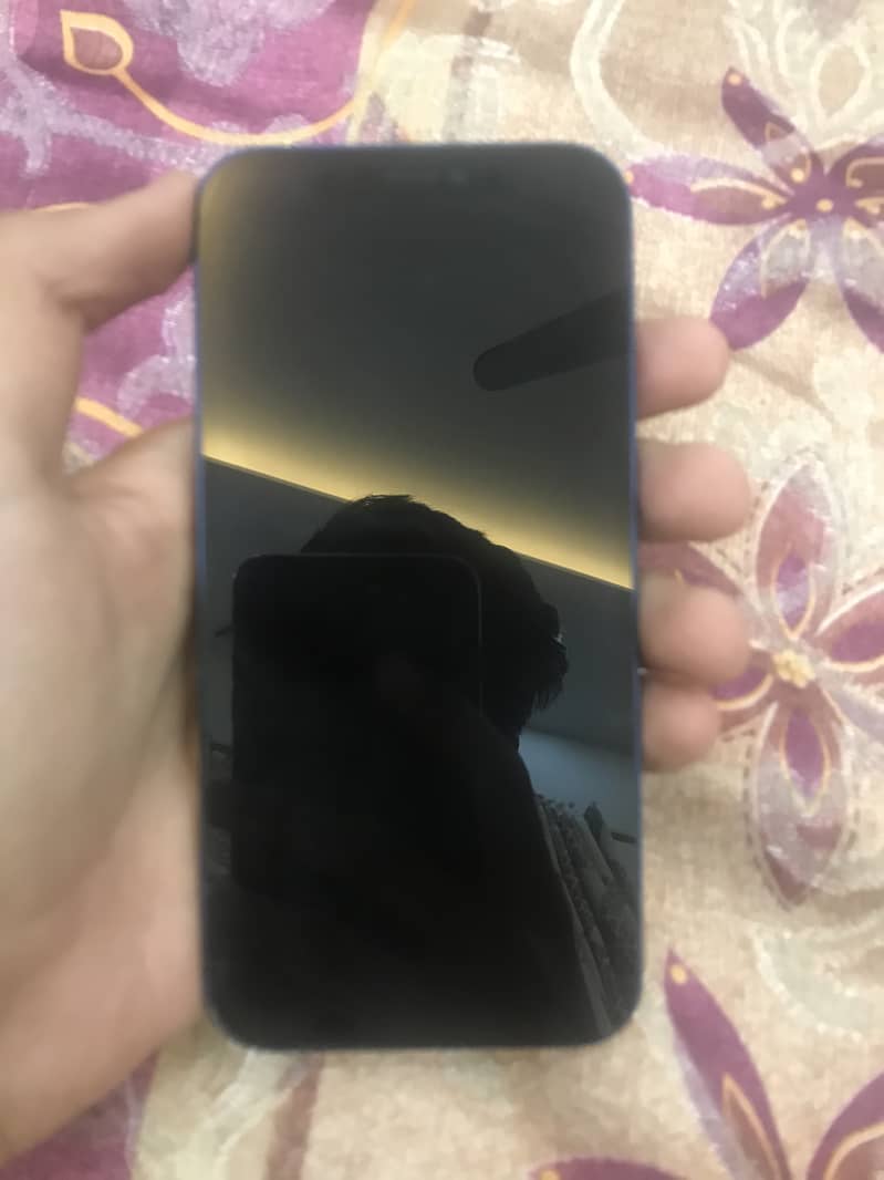 Apple iPhone 12 7