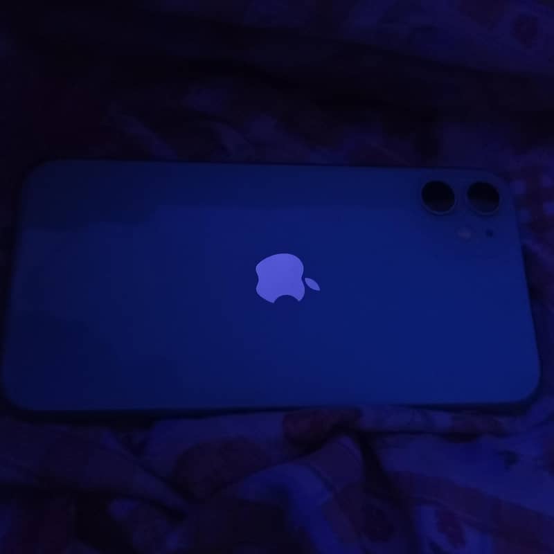 Apple iPhone 11 1