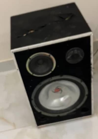 Kenwood 12 inc Bass part