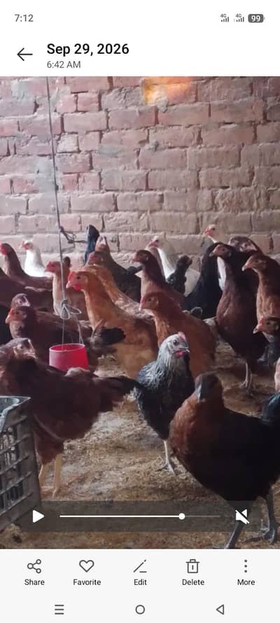 desi hen aag satater
