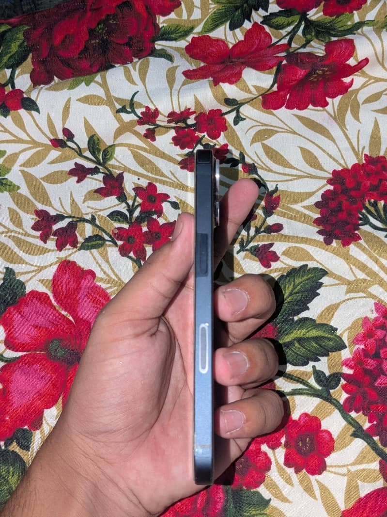 Apple iPhone 13 2