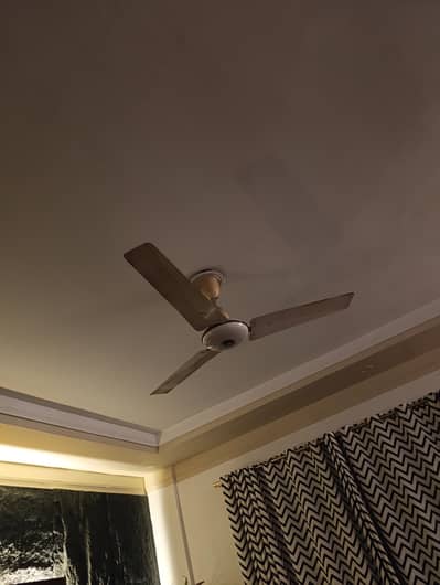Ceiling fan