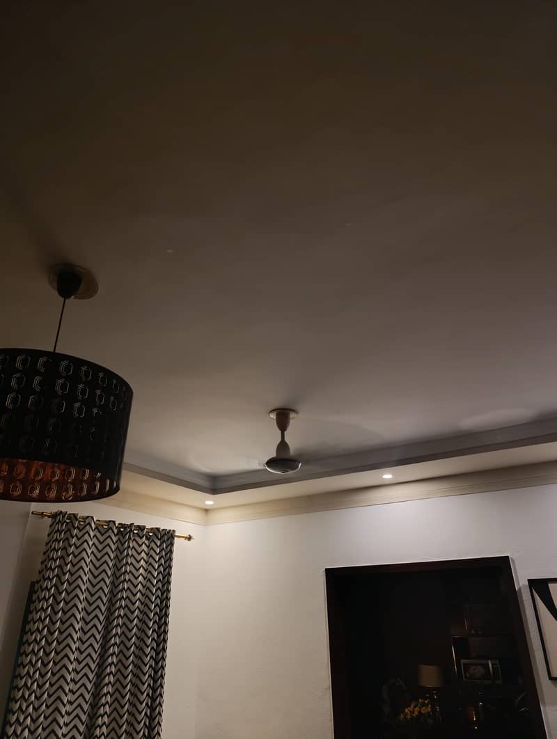 Ceiling fan 1