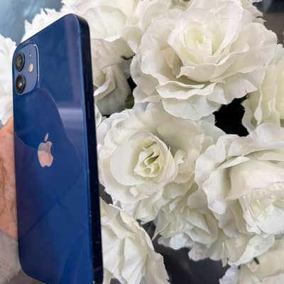 Apple iPhone 12