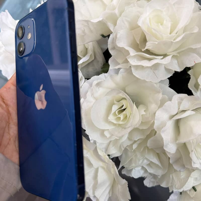 Apple iPhone 12 3