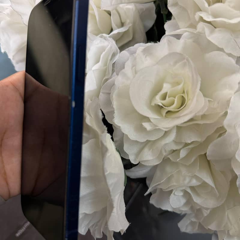 Apple iPhone 12 4