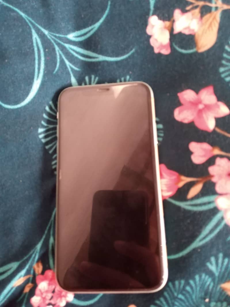 Apple iPhone 11 1