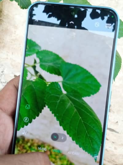 Infinix Hot 6 Pro
