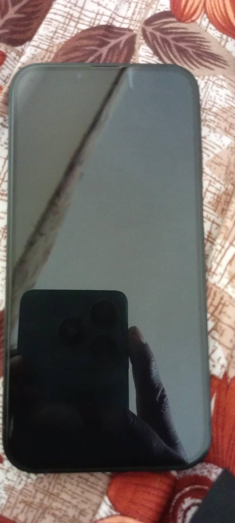 Apple iPhone 13 1