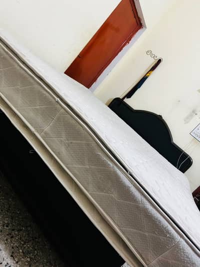 Cannon 12 inch Spring mattress King size