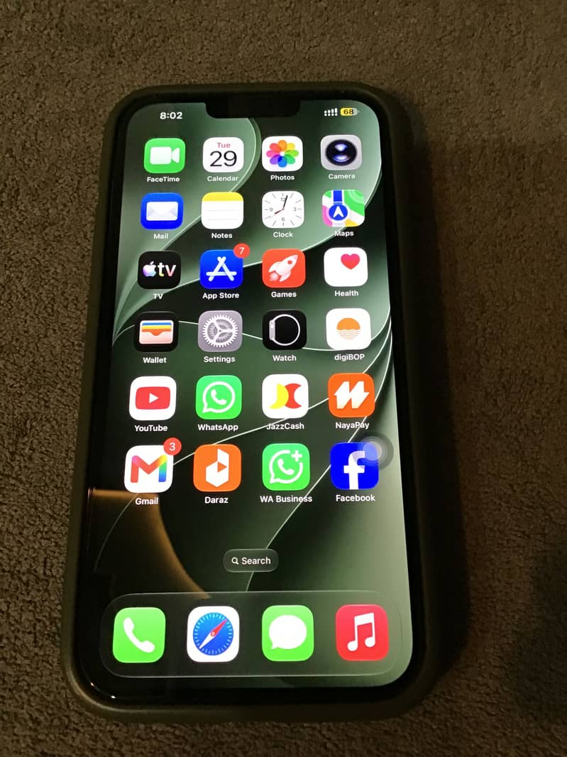 Apple iPhone 13 Pro Max 1