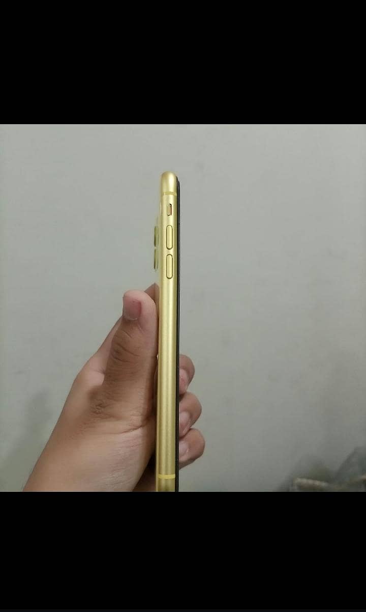 Apple iPhone 11 0