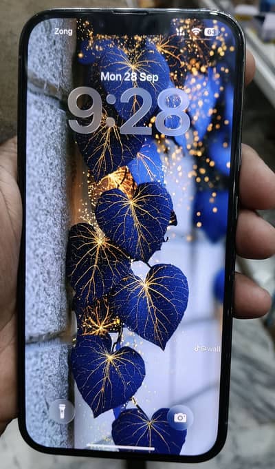 Apple iPhone 13 Pro Max